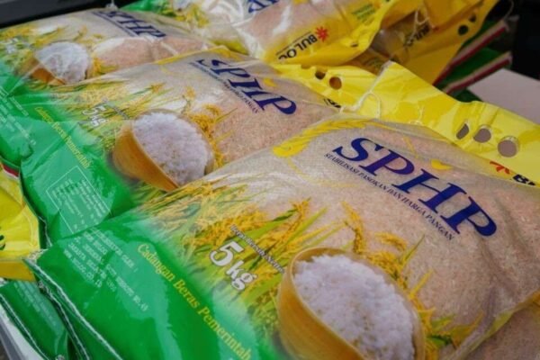 Distribusi Masif Beras SPHP Terbukti Tekan Harga Beras di Pasar